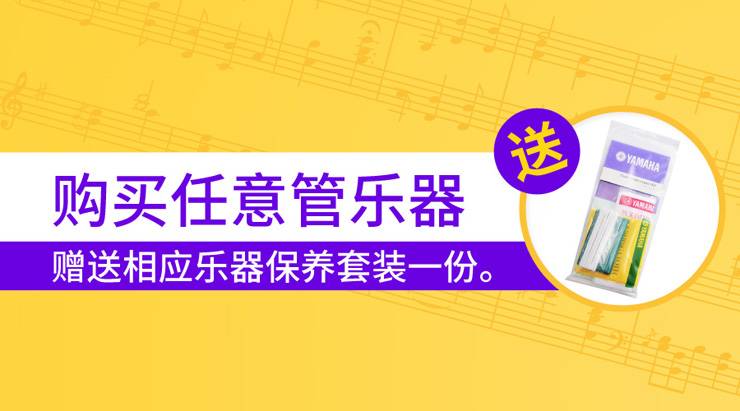 彩乐园天猫旗舰店购管乐赠礼活动