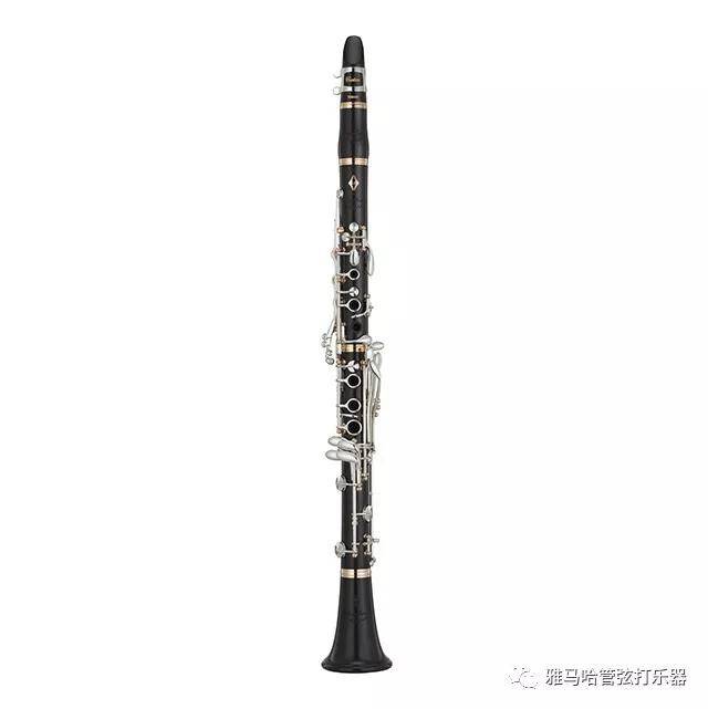 彩乐园新风管单簧管