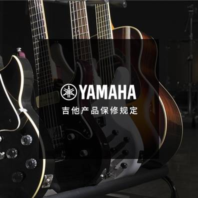 吉他、贝斯和音箱
