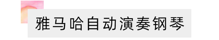 活动报道 | 远程艺术教育大师课活动—彩乐园艺术家吴晓大师课