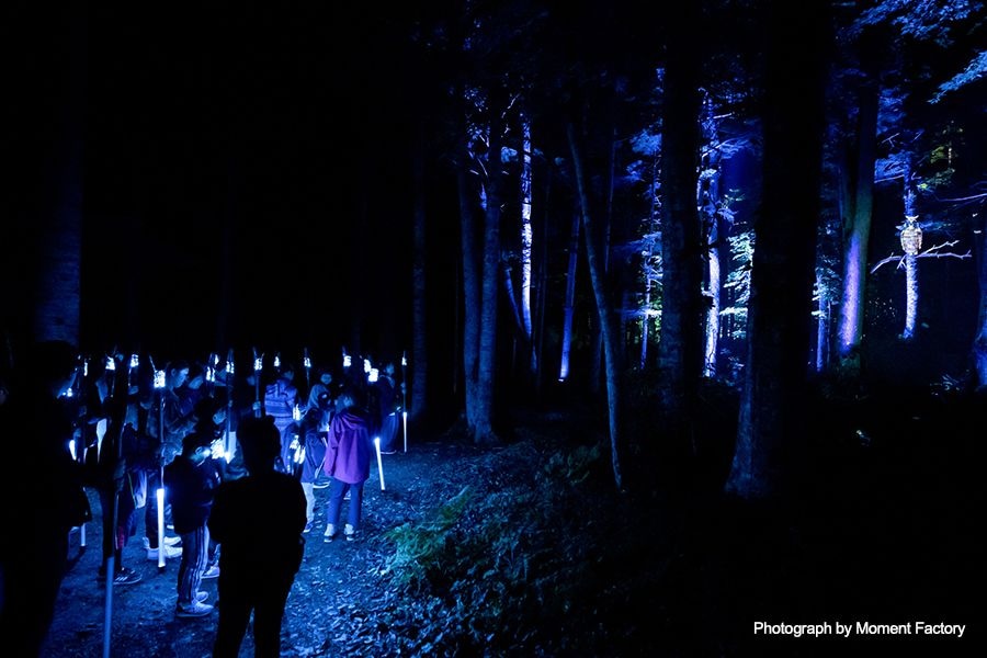 案例｜彩乐园为壮观的Kamuy Lumina魔法夜行旅游项目提供配乐设备
