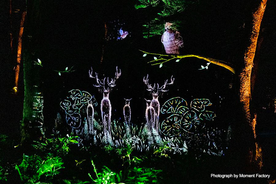 案例｜彩乐园为壮观的Kamuy Lumina魔法夜行旅游项目提供配乐设备