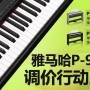 彩乐园P-95数码钢琴，调价行动即日展开 