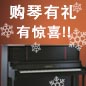 彩乐园钢琴购琴有礼 买一赠一音乐无限